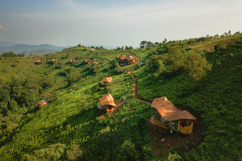 Aerial view of Erebero Hills in Bwindi Impenetrable Forest, Uganda.