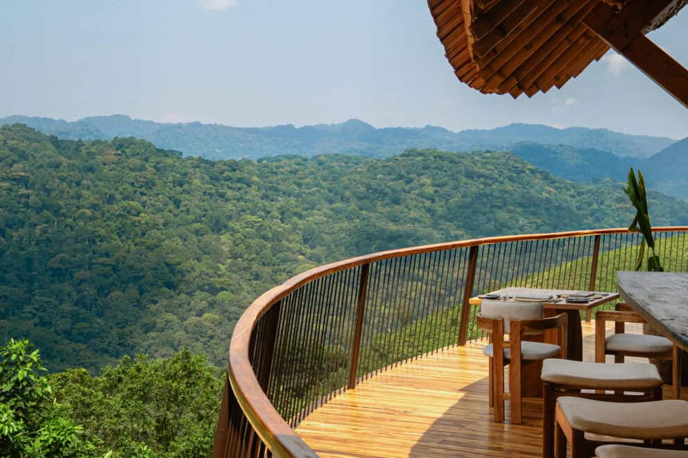 View of Bwindi Impenetrable Forest from the balcony at Erebero Hills, Uganda.