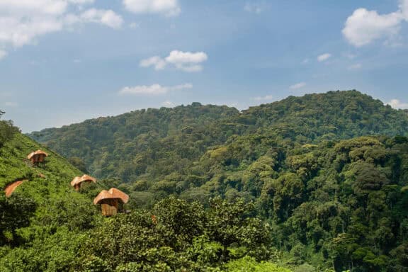 View of the suites and landscape of Bwindi Impenetrable Forest at Erebero Hills, Uganda.