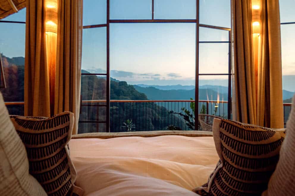 View of Bwindi Impenetrable Forest from the bed at Erebero Hills, Uganda.