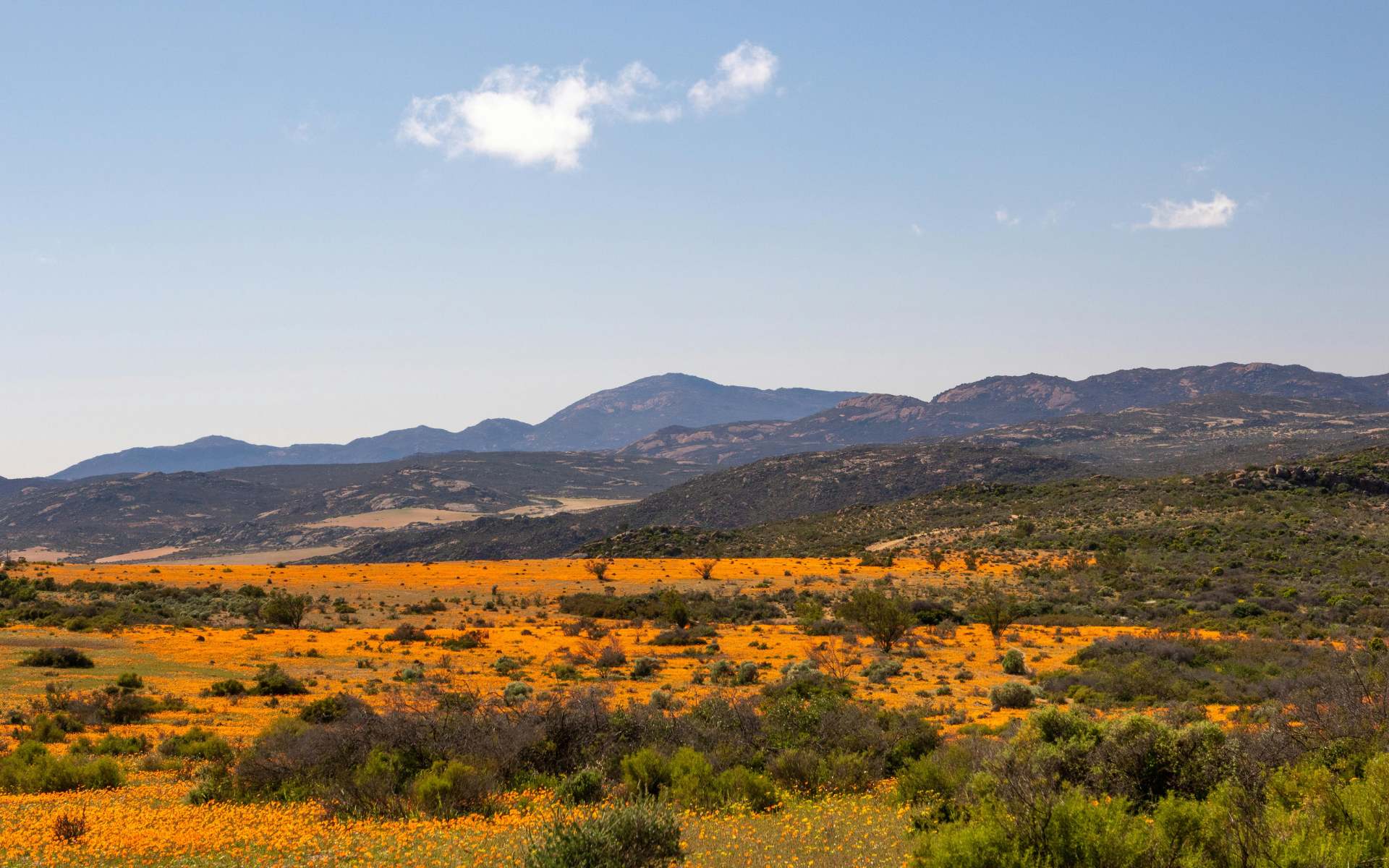 View of Namaqua National Park