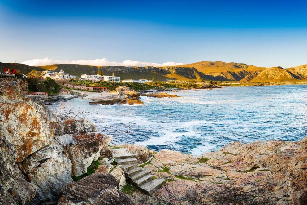 A view of the Hermanus coastline.