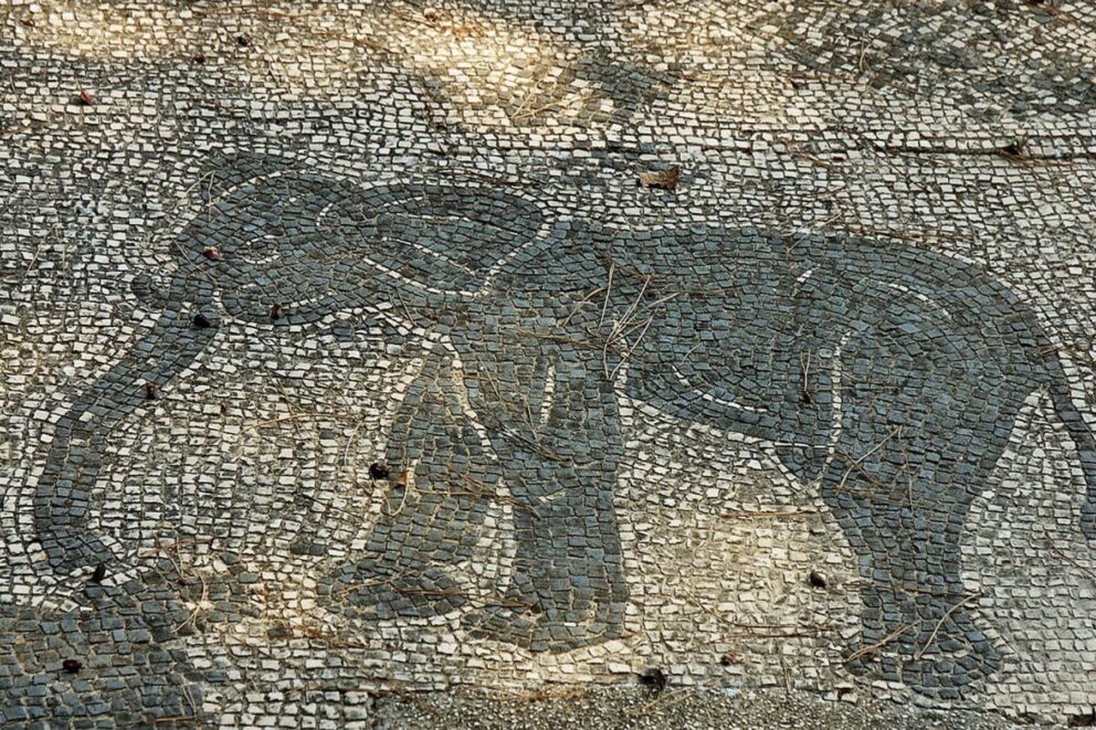 Roman mosaic of the north African elephant at Ostia Antica, Italy 