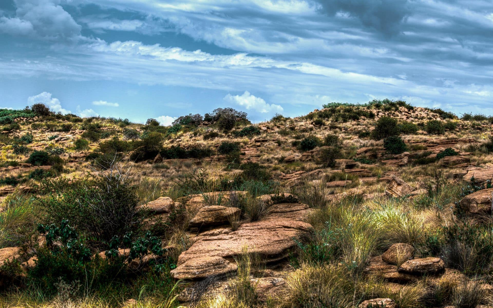 Landscape at the Cradle of Humankind 