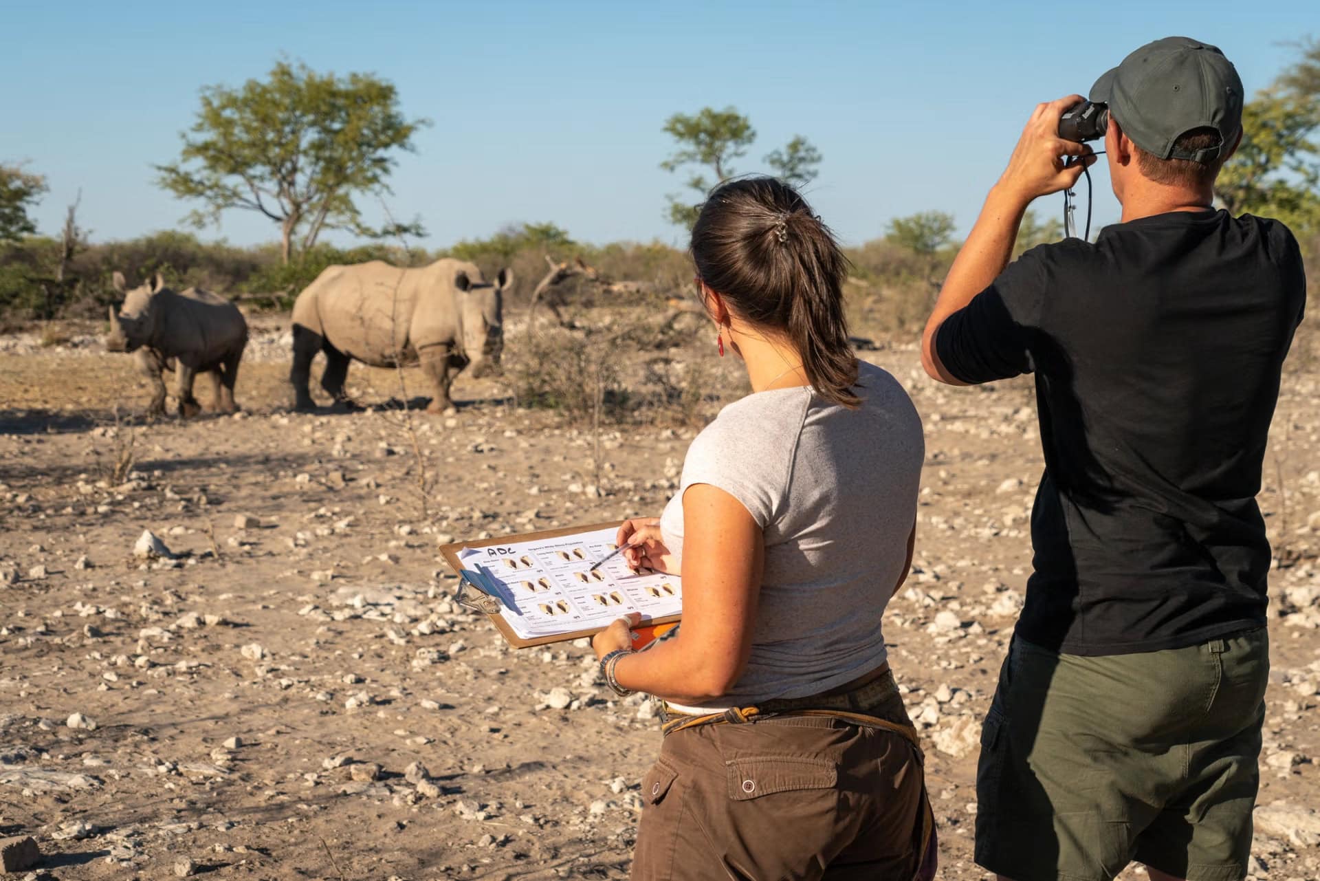 Researchers monitoring rhinos at Ongava