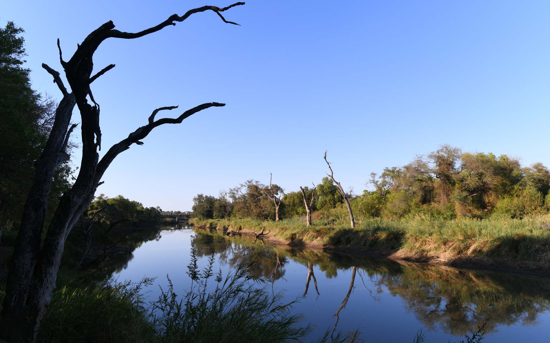 The Limpopo River