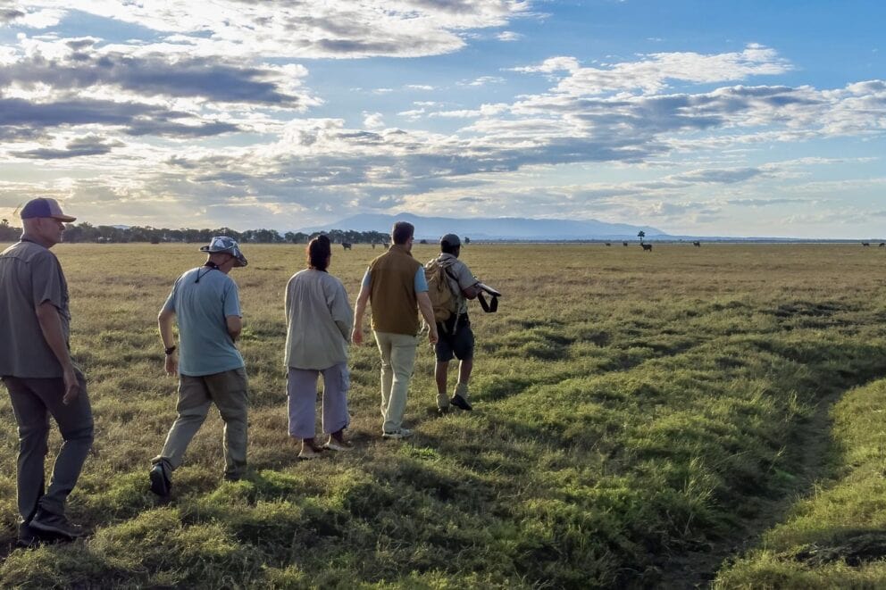 A group of tourist on a guided walking safari in Gorongosa National Park at Chicari Camp, Mozambique