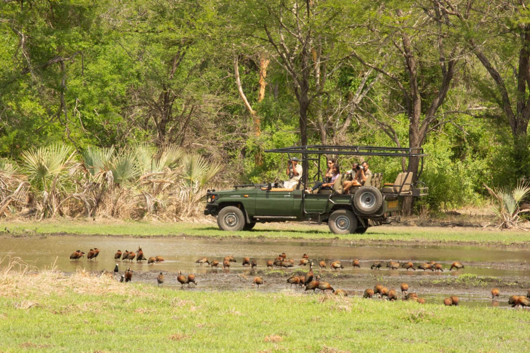 Game drive in Gorongosa 