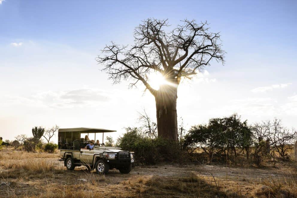 Electric safari vehicle parked alongside a large baobab tree at sunrise in Kafue National Park.