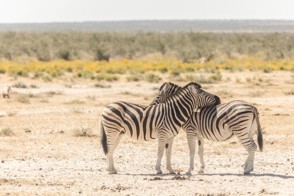 Namibia is the perfect destination for digital detox travel