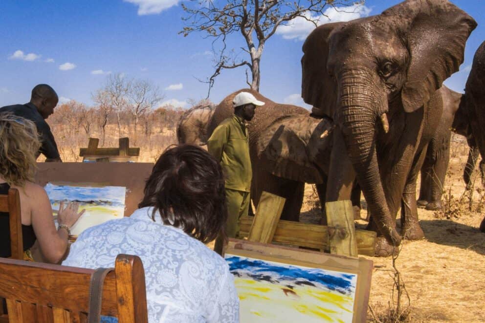 Elephant Art experience wild horizons