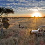 Sunset game drive in Etosha National Park in Namibia on an Africa wildlife safari