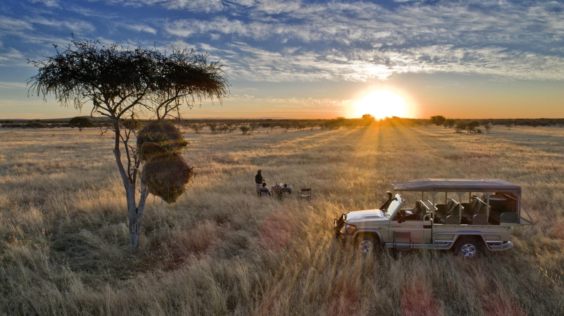 Sunset game drive in Etosha National Park in Namibia on an Africa wildlife safari