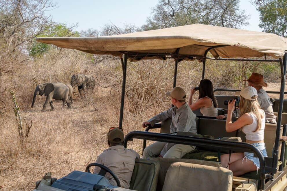A group of tourists in a safari vehicle watching elephants move through the bush at Mkulumadzi Lodge in Majete Wildlife Reserve, Malawi.