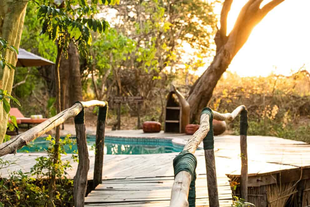 View from the pool side deck at Mvuu Lodge