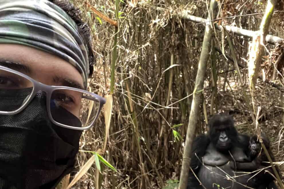 A selfie with a gorilla while mountain gorilla trekking in Rwanda