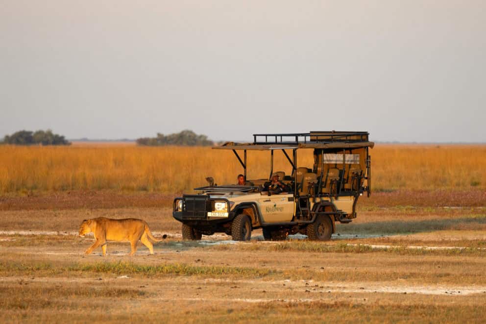 Game Drive Vehicle with Lion Sighting | Photo credits: Steve Conradie