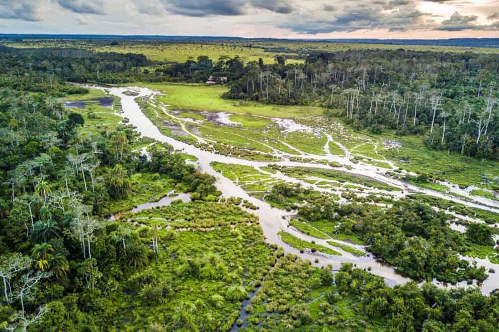 Aerial shot of forests in the Congo Basin