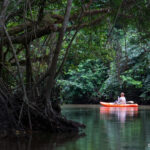 Kayaking in the Congo River in the Congo Basin