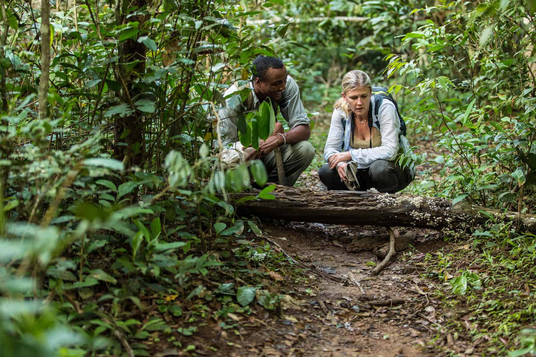 Travellers on a gorilla safari in Congo