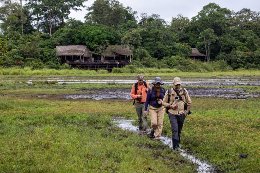 Walking safari at Odzala-Kokoua National Park in Congo
