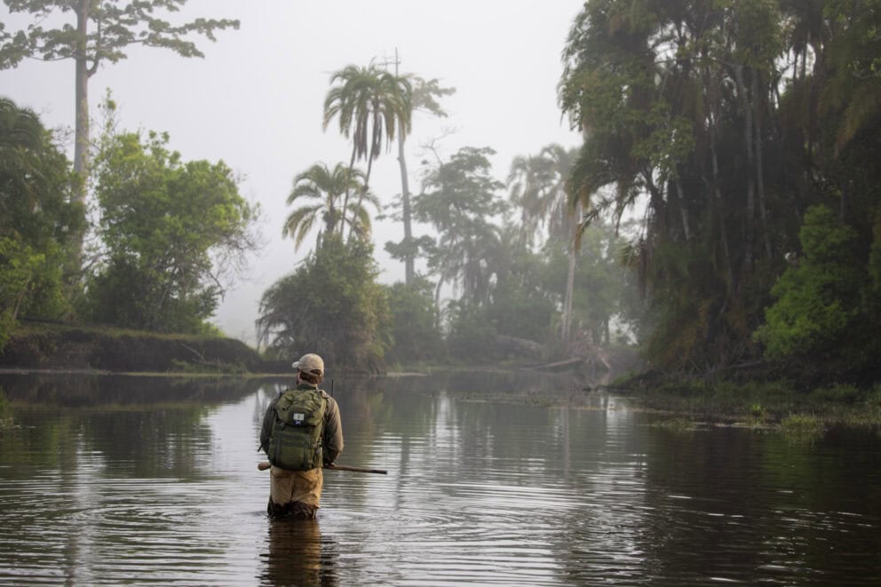 Man walking through the shallow water in the Congo Basin