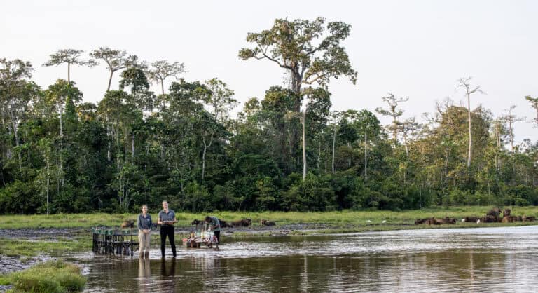 Drinks on the river in the Congo Basin
