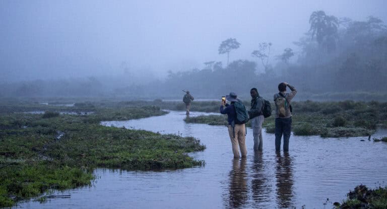 Travellers on a gorilla trek wading through the water and mist in Congo Basin