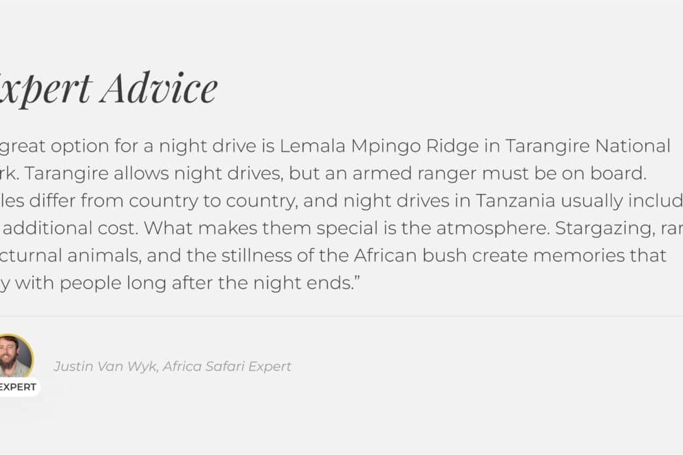 A quote from a Discover Africa Safari Expert on night safaris.