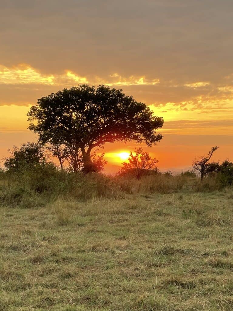 An African sunset over the bush.