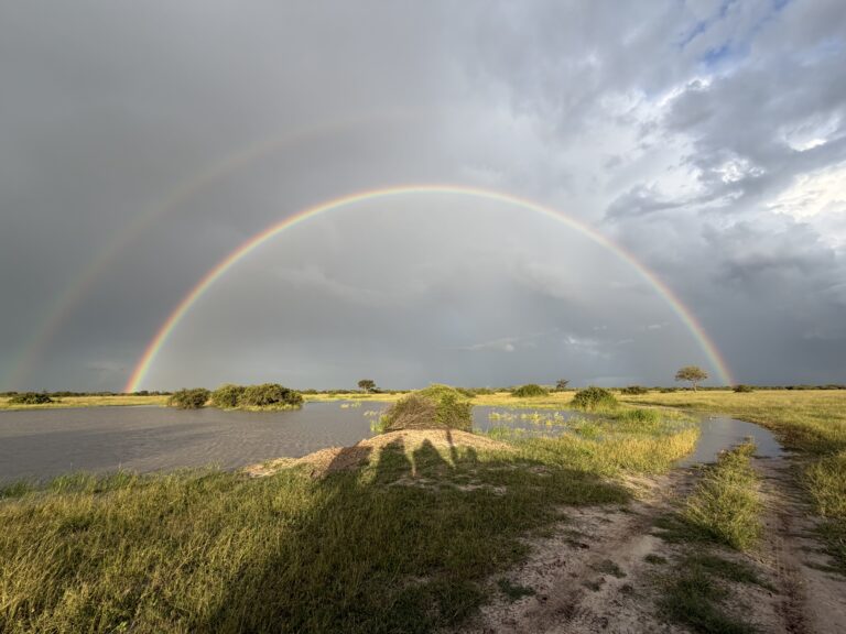 A double rainbow at Savuti