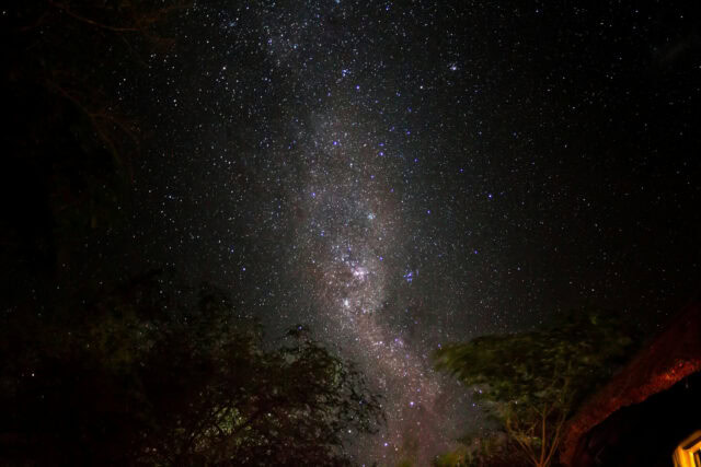 View of a starry sky in the wilderness.