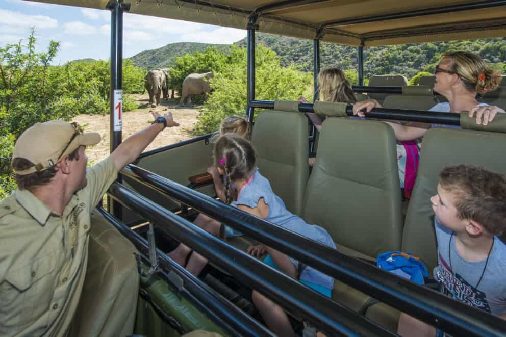 Kids in a safari vehicle with a parent and guide observing elephants in the distance at Shamwari Riverdene, South Africa.
