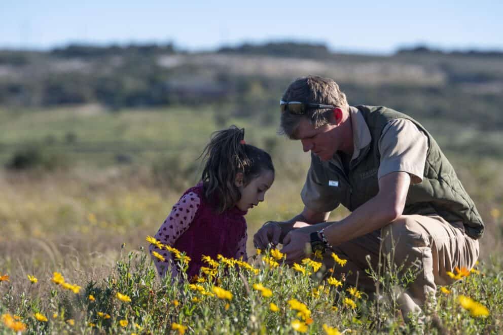 A child and a guide in a field of flowers at Shamwari Riverdene, South Africa.