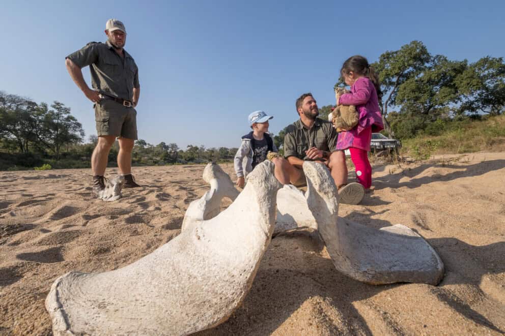 Children on a guided nature walk at Jock Safari Lodge, Fitzpatricks, South Africa.