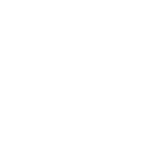 the-guardian-white-logo