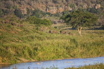 Hluhluwe-Imfolozi Park
