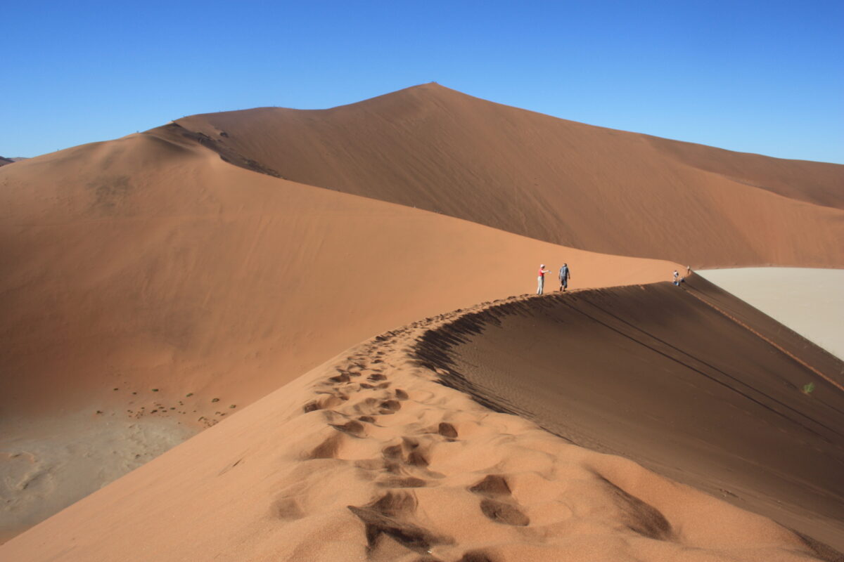 A Journey into the Desert: Across the Shifting Sands of Namibia