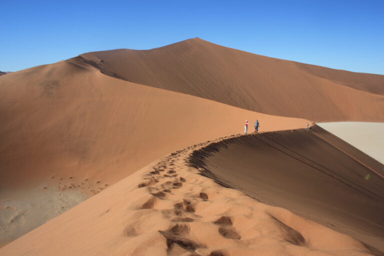 A Journey into the Desert: Across the Shifting Sands of Namibia