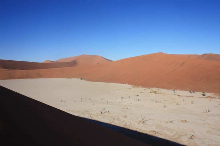 View of Deadvlei from the ridge of a dune in the Namib-Naukluft National Park, Namibia.