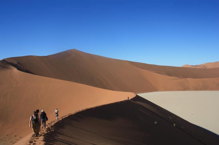 Tourist walking along the ridge of a dune overlooking endless vibrant orange sand dunes in Sossusvlei, Namibia.
