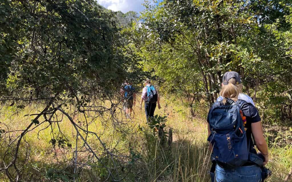 A group of tourists on a guided walking safari in Zambia.
