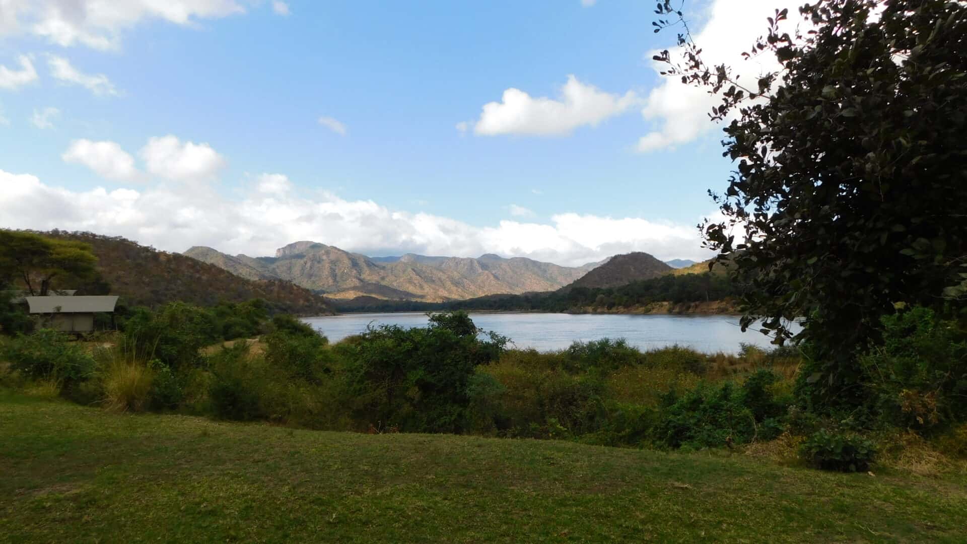 From Panic to Awe: A Transformative First Safari Along the Zambezi