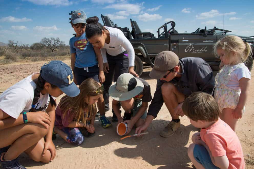 Children helping with spoor casting on a junior safari at Marataba Safari Lodge, South Africa.