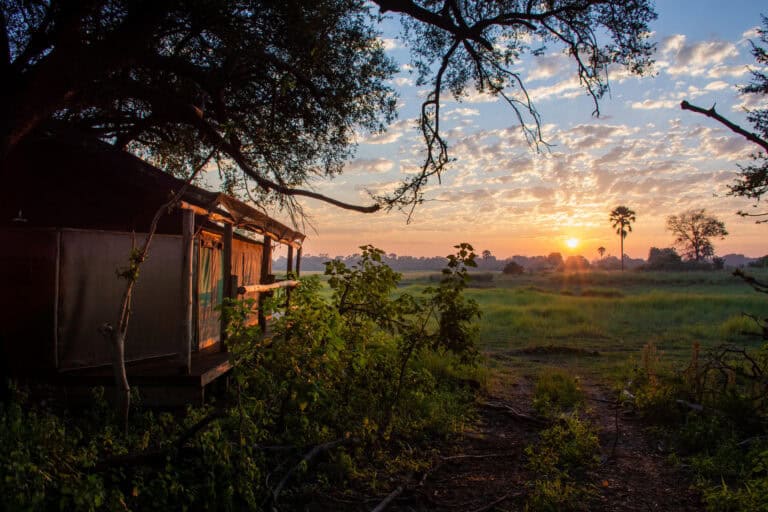 Sunrise view of a luxury tented suite at Moremi Crossing, Botswana.