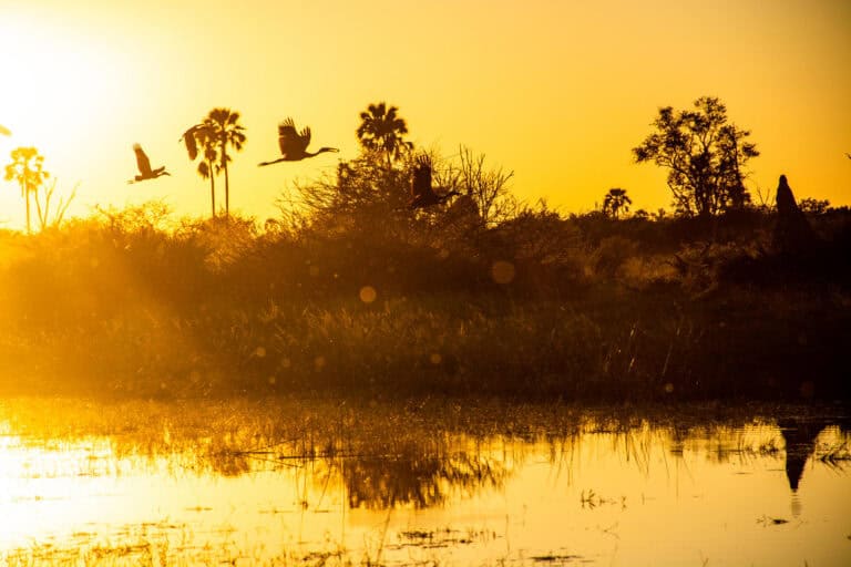 Sunset view over a water channel near Mma Dinare, Botswana.