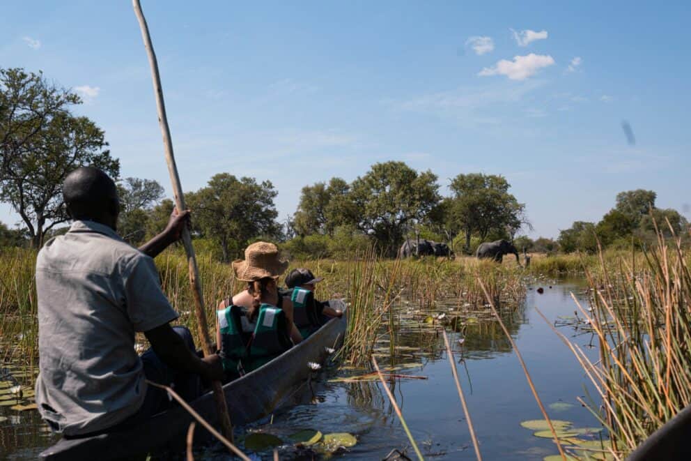 Guests on a mokoro ride through a papyrus-lined water channel near Hideaways Mankwe Tented Retreat, Botswana.