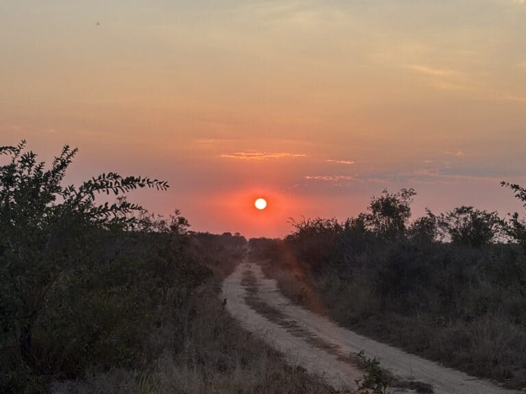 An orange hued sky as the sun sets over the bushveld.