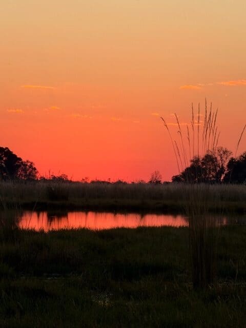 Sunset over Mana Pools, Zimbabwe.