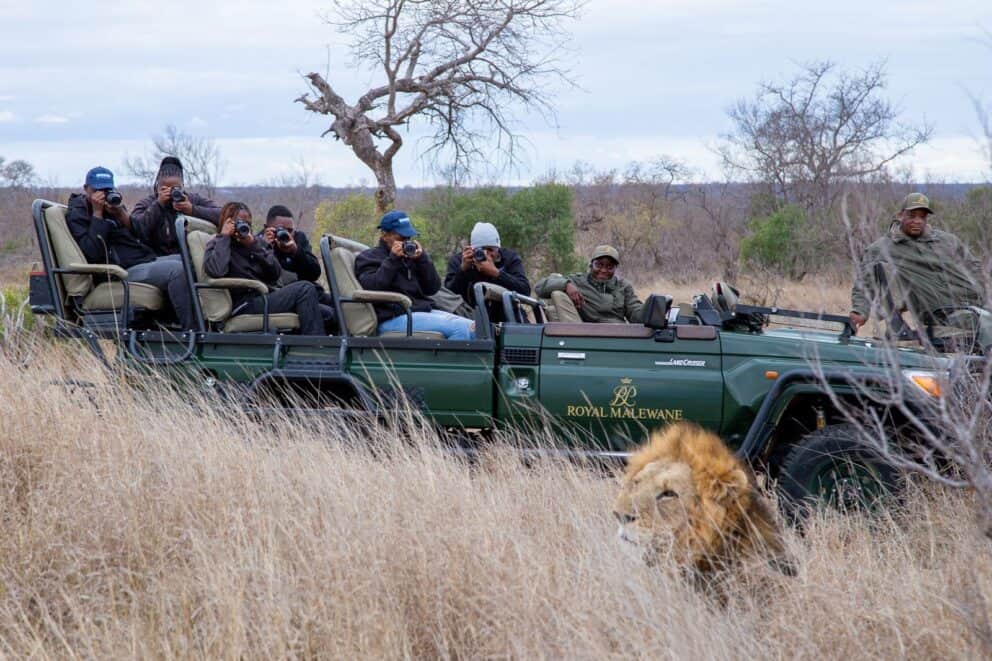 People on a game drive in a safari vehicle observing a lion in the tall grass.